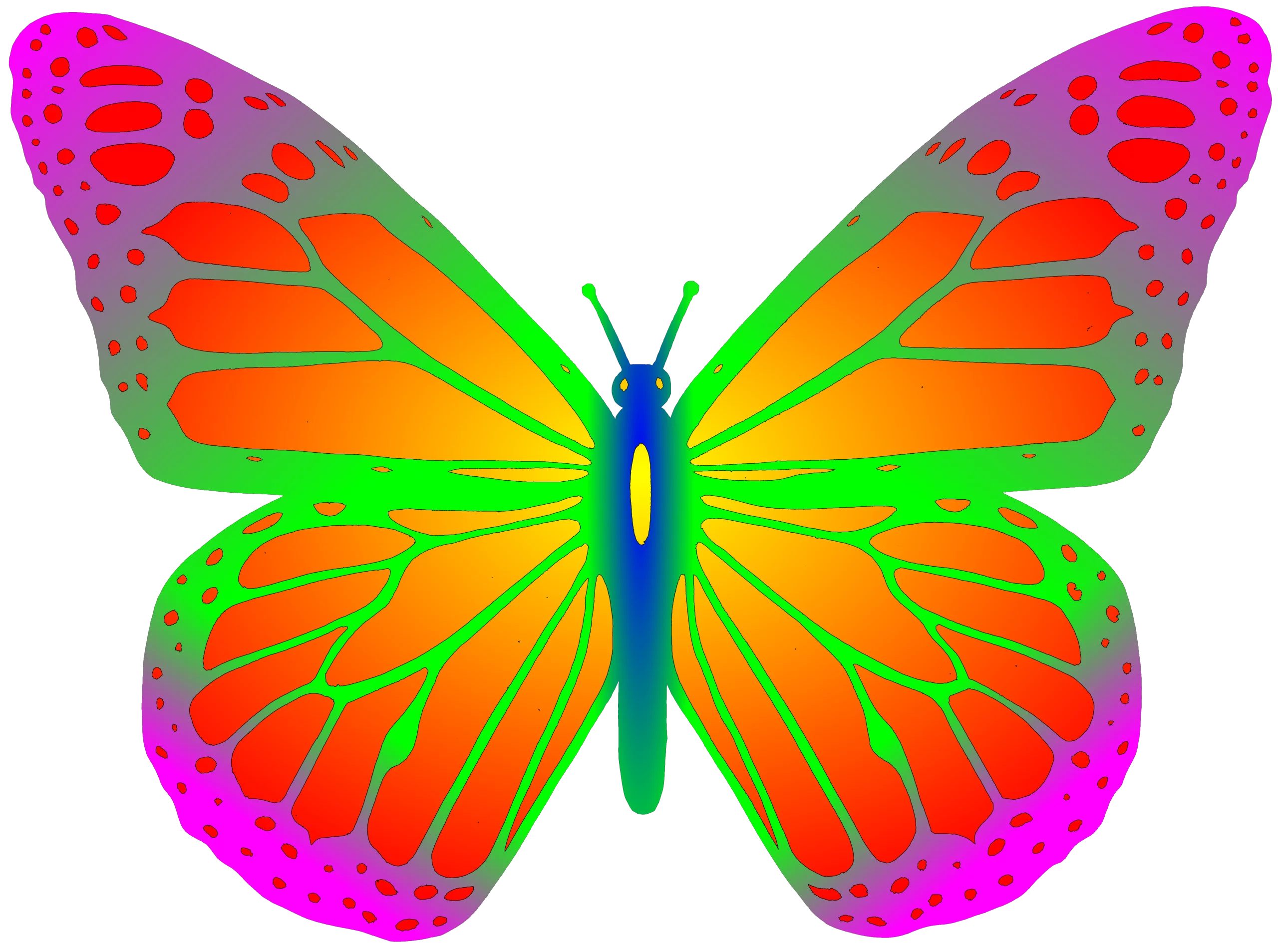 Vibrant Rainbow Butterfly with Gradient Wings and Elegant Pattern Clipart