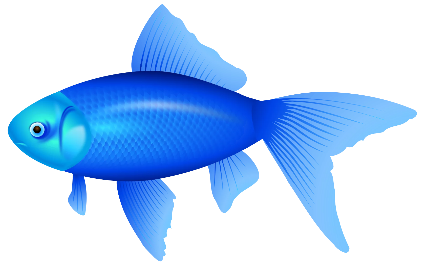 Vibrant Blue Tropical Goldfish Aquarium Pet Decorative Underwater Clipart