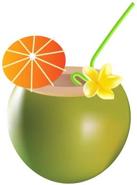 Refreshing Tropical Coconut Drink with Orange Slice and Flower Garnish Clipart