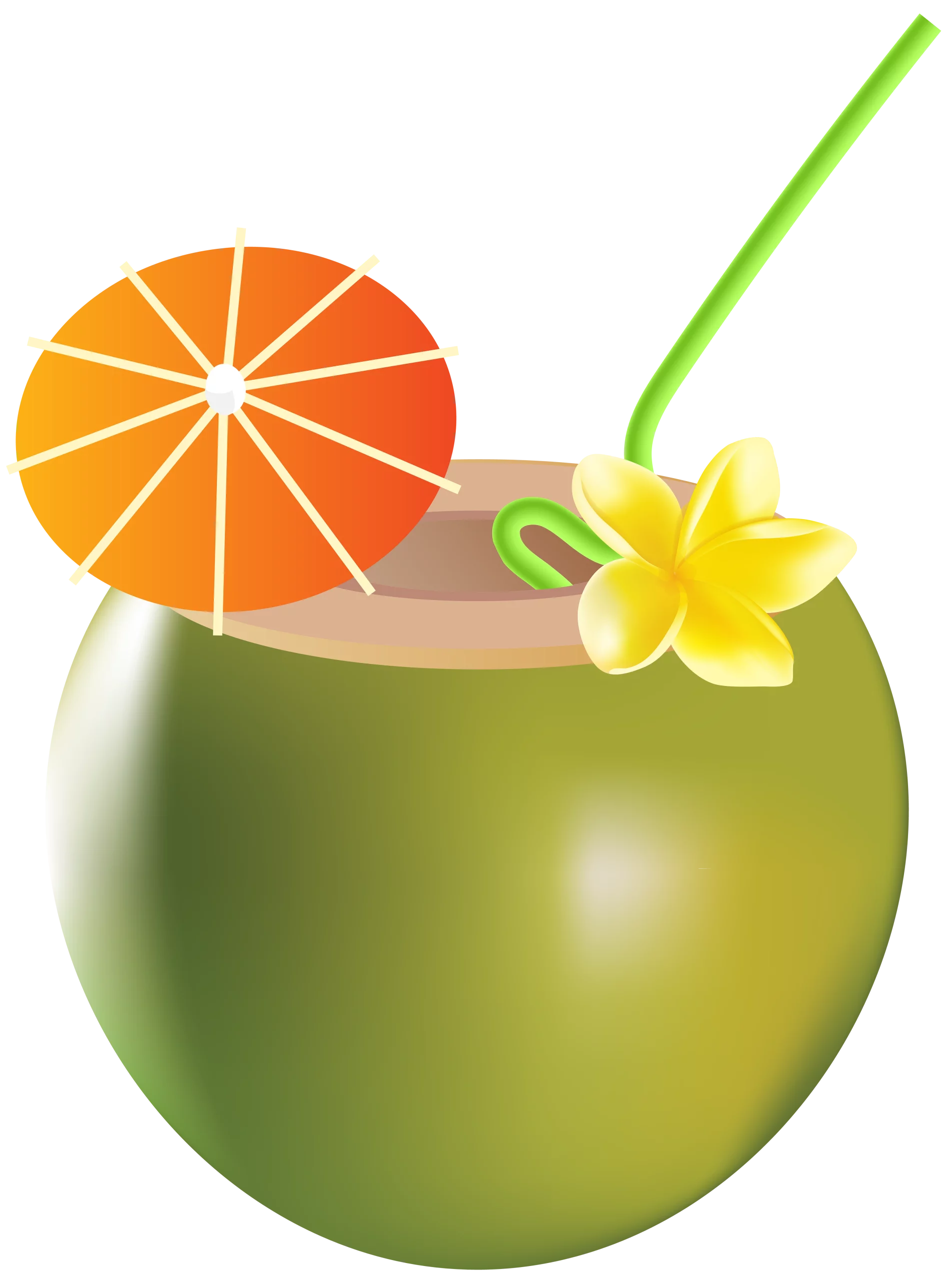 Refreshing Tropical Coconut Drink with Orange Slice and Flower Garnish Clipart