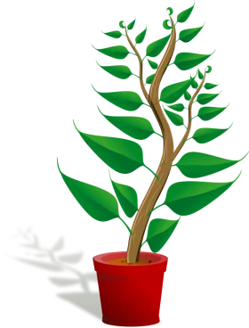 Elegant Green Houseplant in Red Pot Decorative Botanical Illustration Clipart