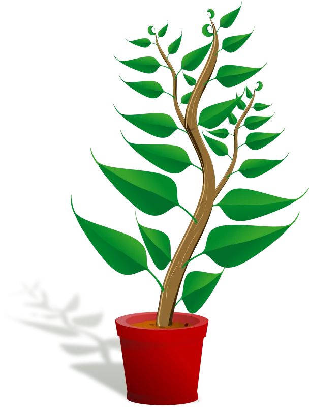 Elegant Green Houseplant in Red Pot Decorative Botanical Illustration Clipart