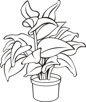 Hand-Drawn Potted Houseplant Illustration Black and White Line Art Clipart