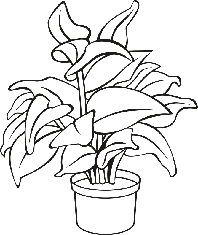 Hand-Drawn Potted Houseplant Illustration Black and White Line Art Clipart