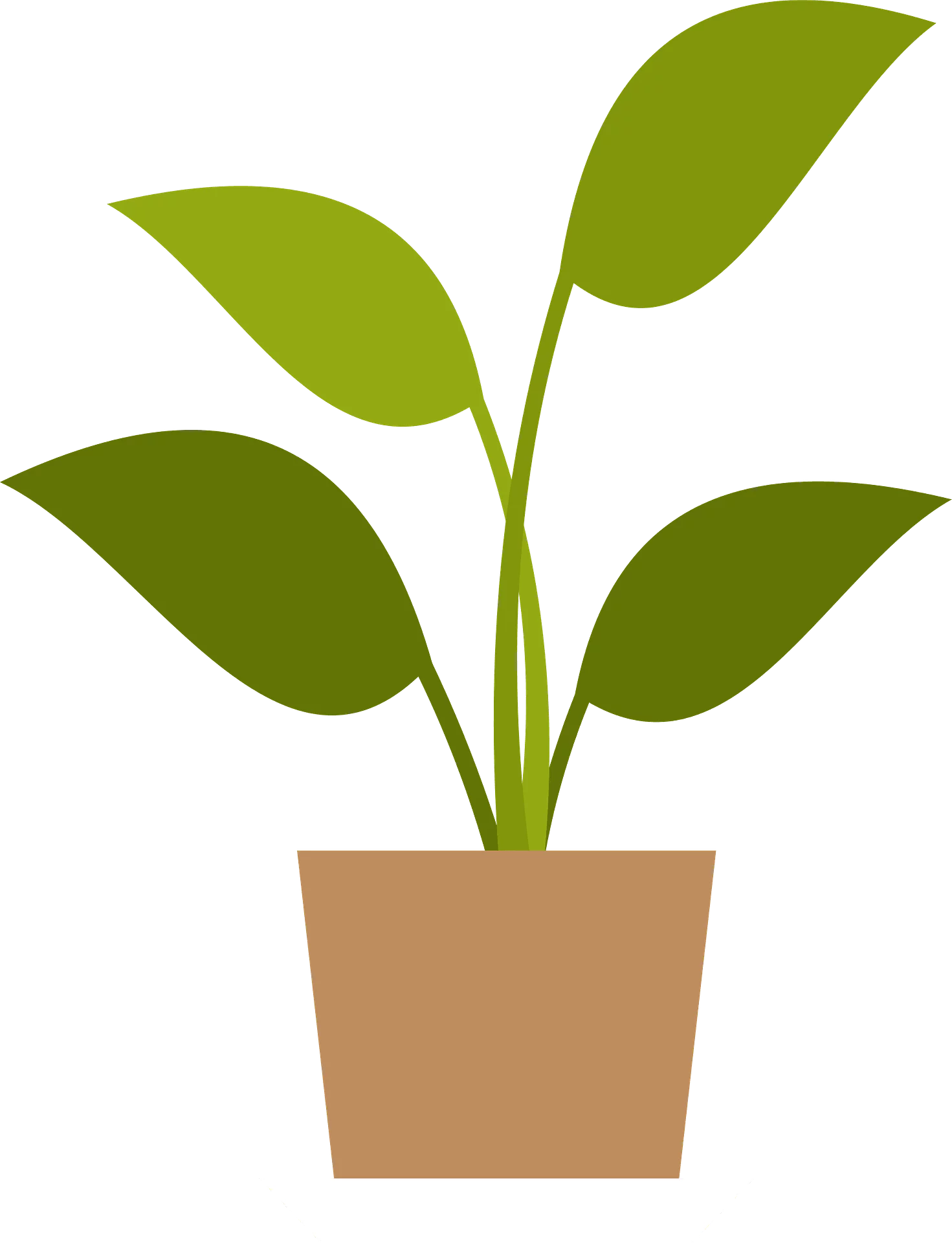 Simple Green Plant in Brown Pot Indoor Houseplant Decorative Foliage Clipart