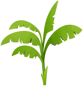 Vibrant Green Banana Plant with Large Tropical Leaves Illustration Clipart