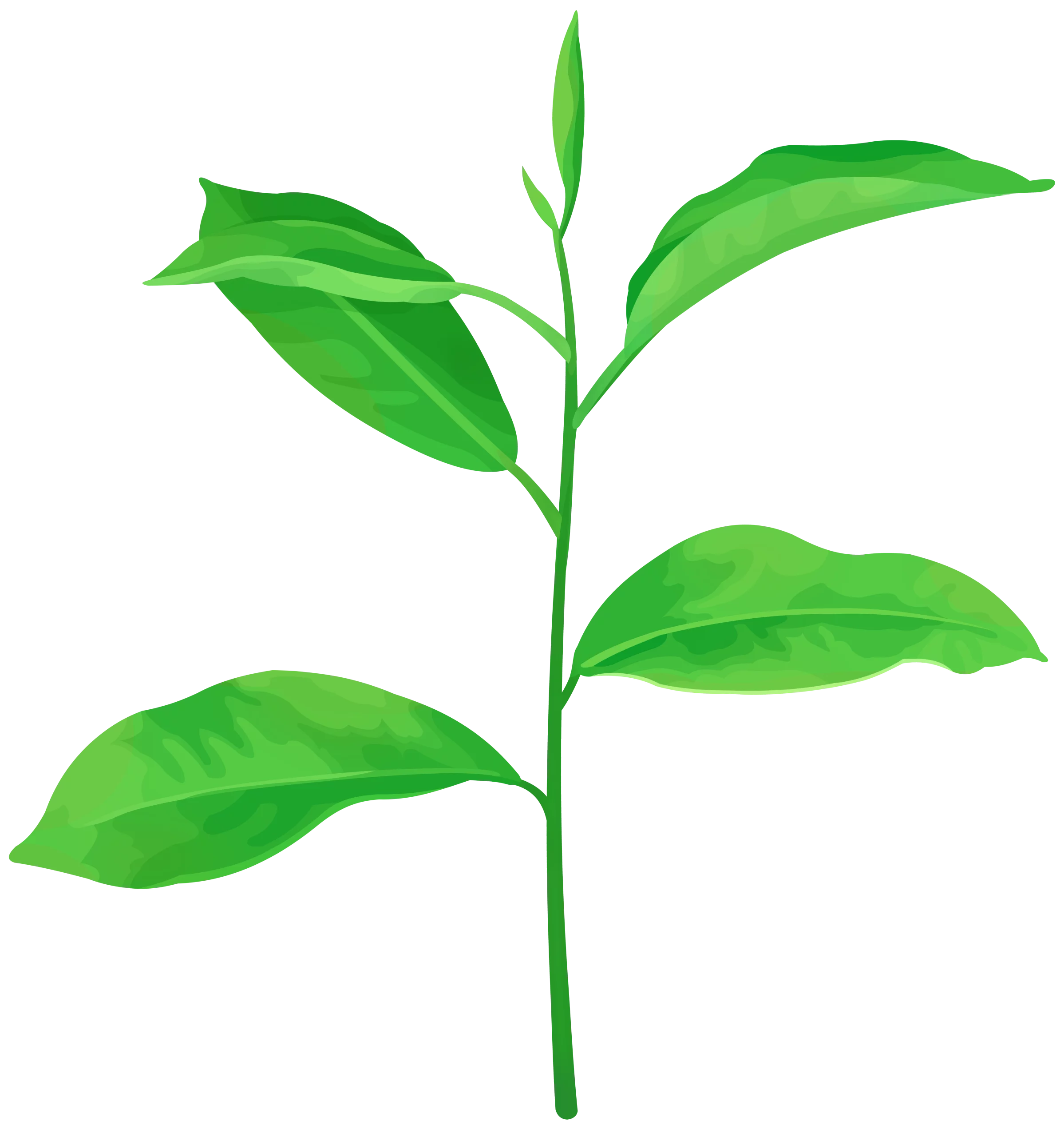 Vibrant Green Plant Seedling with Fresh Leaves - Nature Inspired Clipart