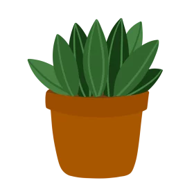 Decorative Green Succulent Plant in Brown Terra Cotta Pot Clipart Illustration