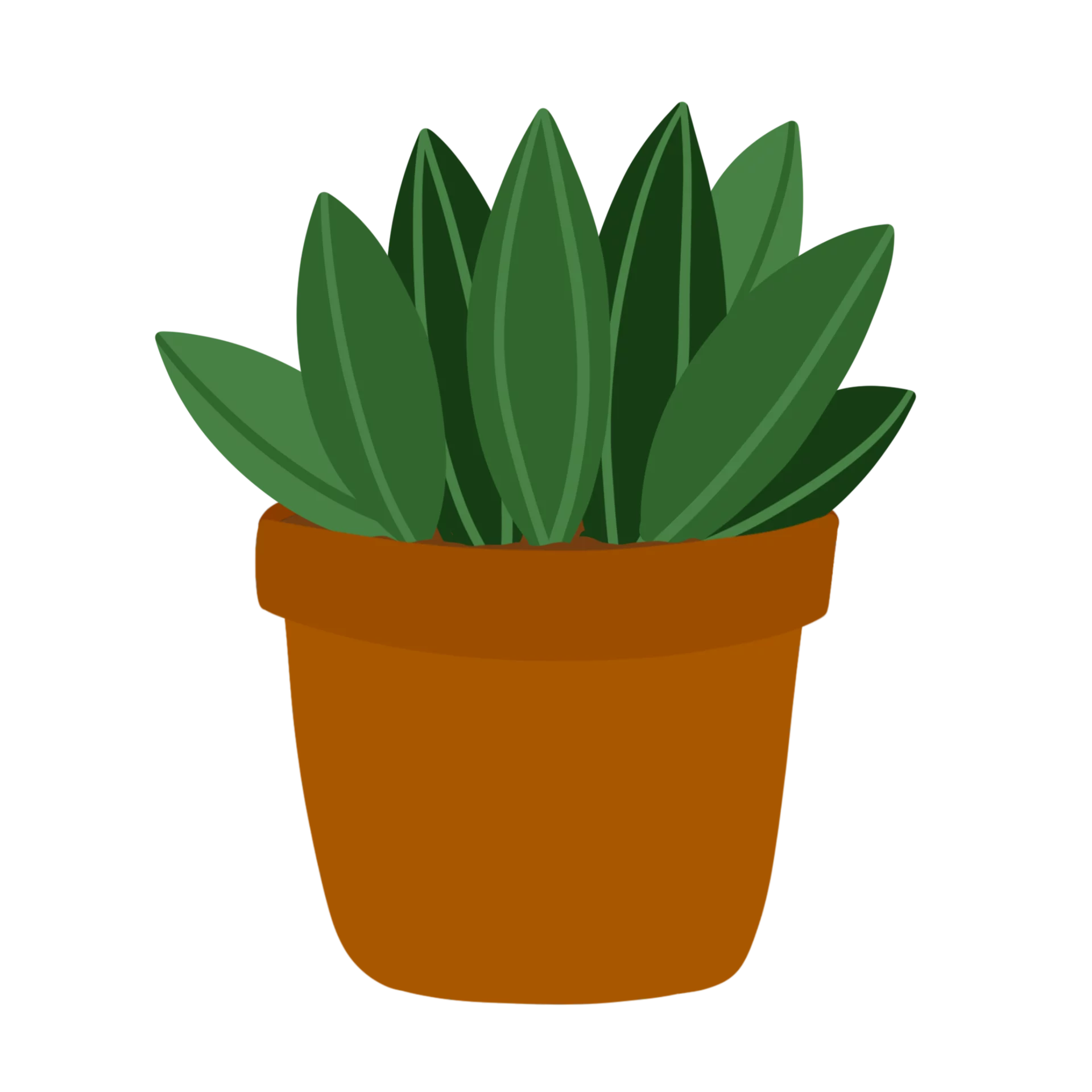 Decorative Green Succulent Plant in Brown Terra Cotta Pot Clipart Illustration