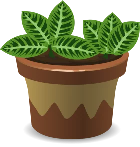 Decorative Tropical House Plant with Patterned Leaves in Clay Pot Vector Clipart