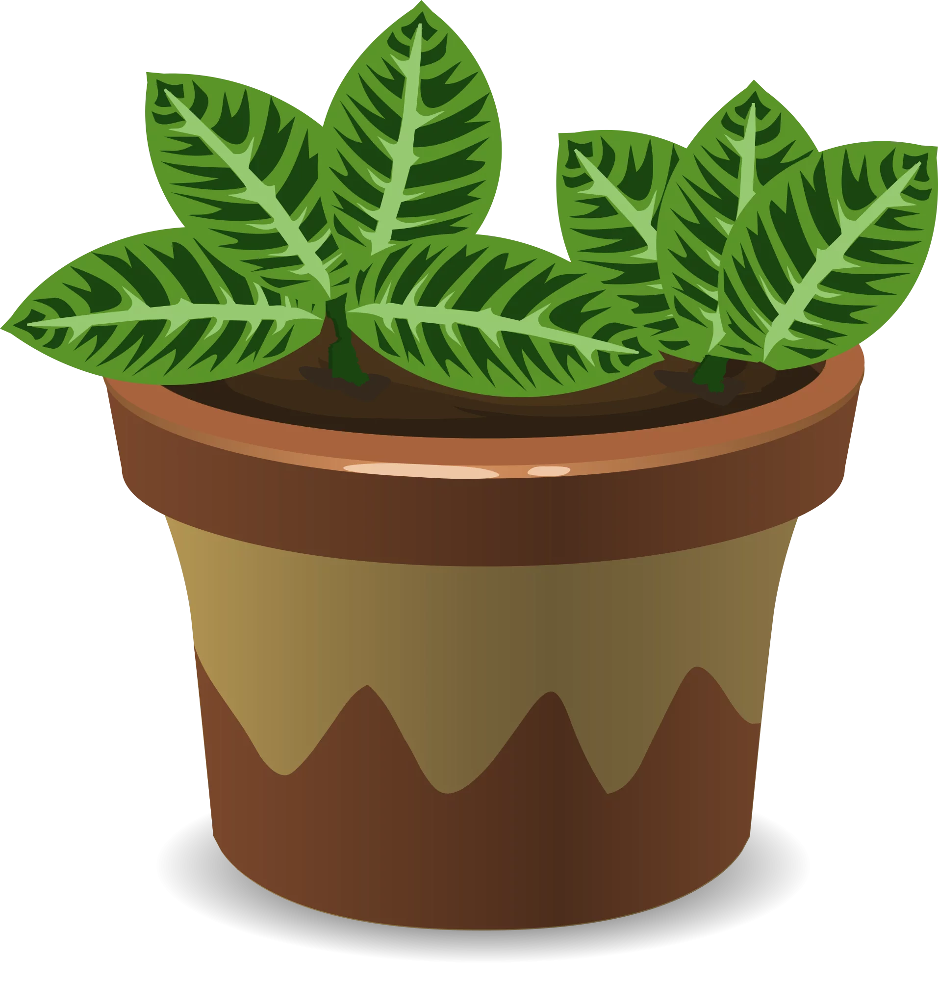 Decorative Tropical House Plant with Patterned Leaves in Clay Pot Vector Clipart