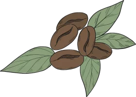 Hand-Drawn Coffee Beans with Green Leaves Botanical Food Illustration Clipart