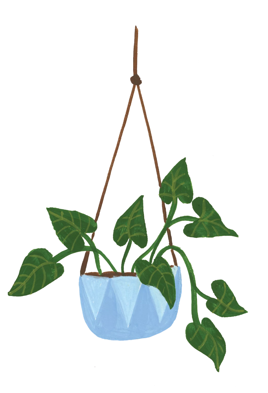 Hanging Pothos Plant in Blue Pot Decorative Indoor Plant Illustration Clipart