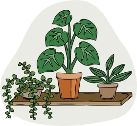 Indoor Houseplants Collection on Wooden Shelf Decorative Green Foliage Clipart