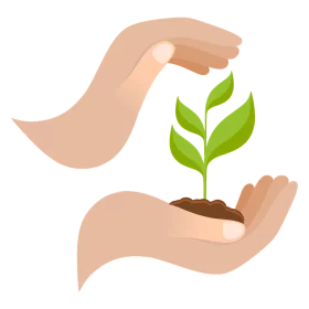 Nurturing Hands Protecting Green Growth Seedling Environment Care Nature Clipart