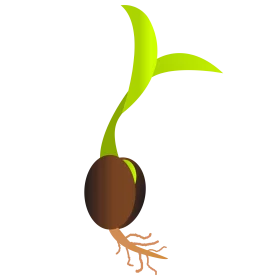 Sprouting Seed with Root System and Green Leaves - Germination Process Clipart