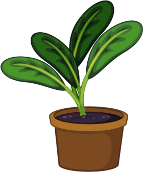 Vibrant Green Houseplant with Broad Leaves in Brown Pot Decorative Clipart