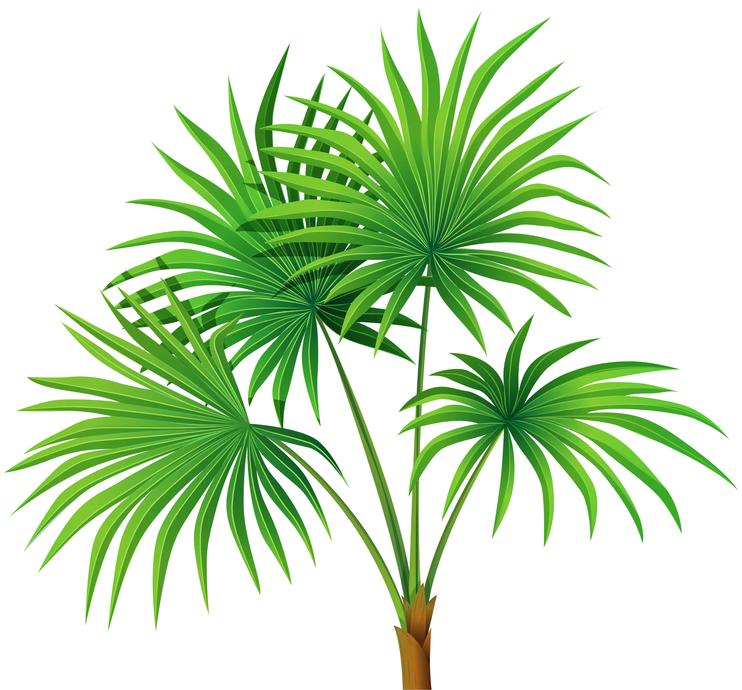 Vibrant Green Palm Leaves Plant Decorative Tropical Foliage Nature Clipart