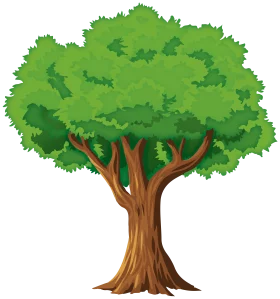 Lush Green Deciduous Tree Clipart Illustration with Vibrant Foliage and Strong Trunk