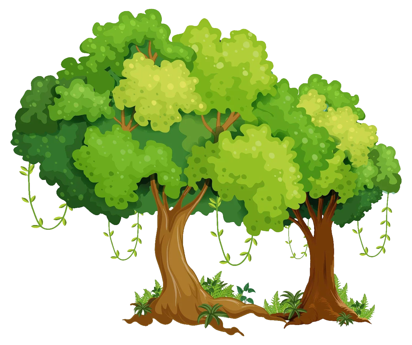 Lush Green Forest Landscape with Two Majestic Trees Cartoon Clipart Illustration