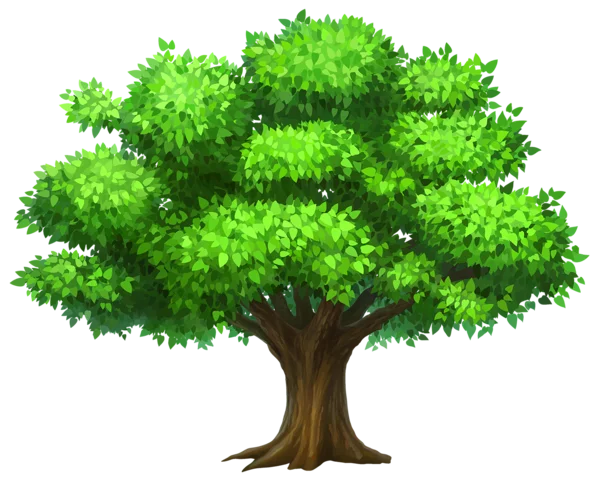 Lush Green Majestic Tree Clipart Illustration with Vibrant Foliage
