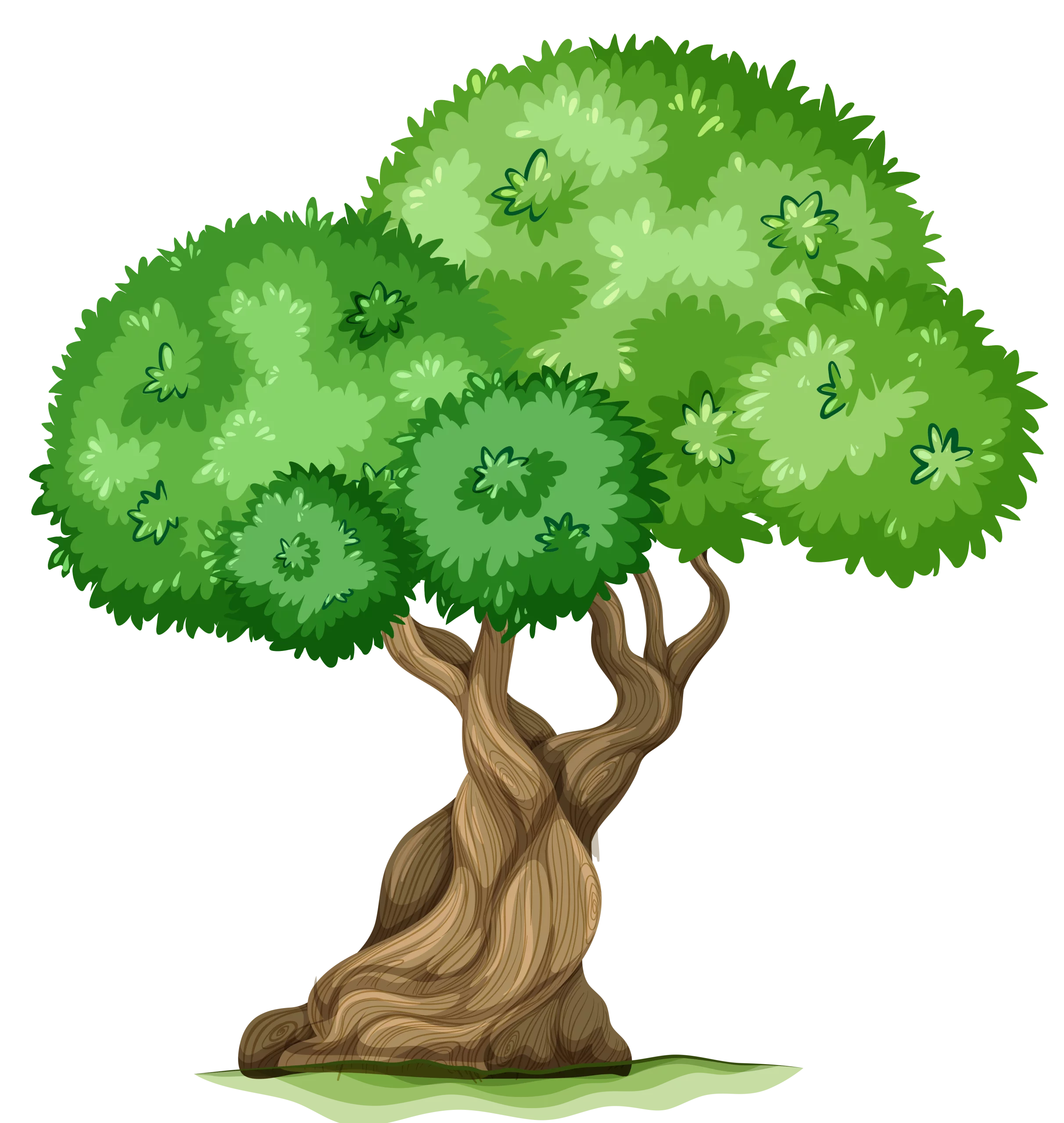 Majestic Green Leafy Tree Clipart with Twisted Gnarled Trunk and Vibrant Foliage