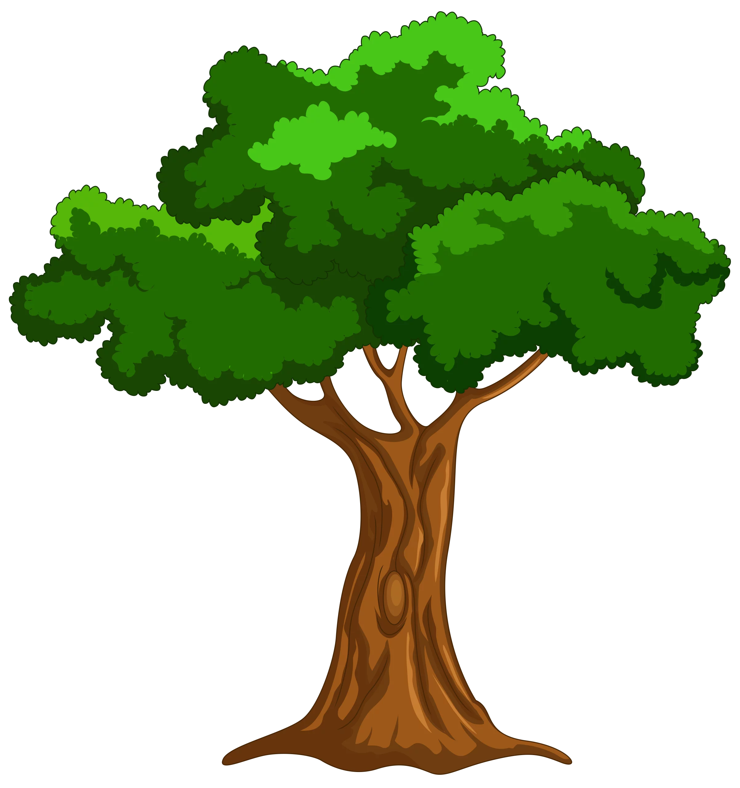 Vibrant Green Leafy Tree Clipart Illustration with Textured Trunk