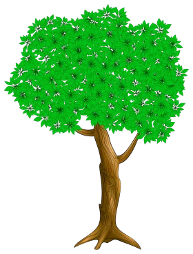 Vibrant Green Leafy Tree Clipart with Detailed Wooden Trunk and Lush Canopy