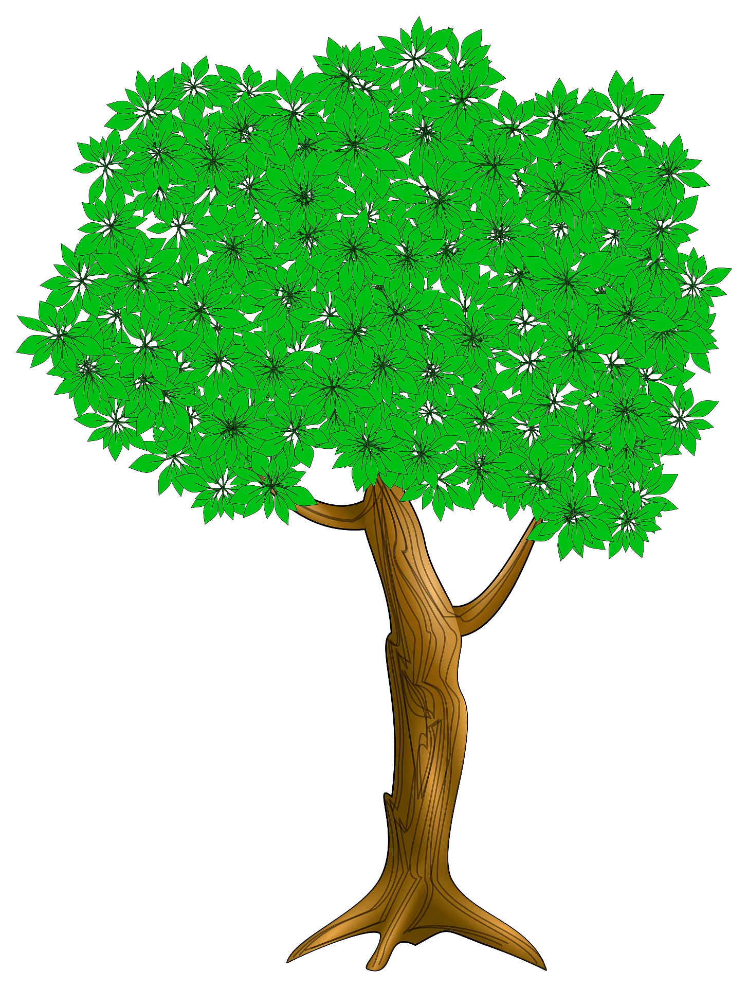 Vibrant Green Leafy Tree Clipart with Detailed Wooden Trunk and Lush Canopy