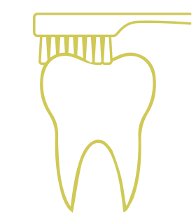 Minimalist Yellow Line Art Tooth Clipart with Toothbrush Illustration Design