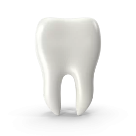 Pristine 3D Dental Anatomy Tooth Clipart: Realistic Medical Illustration Design