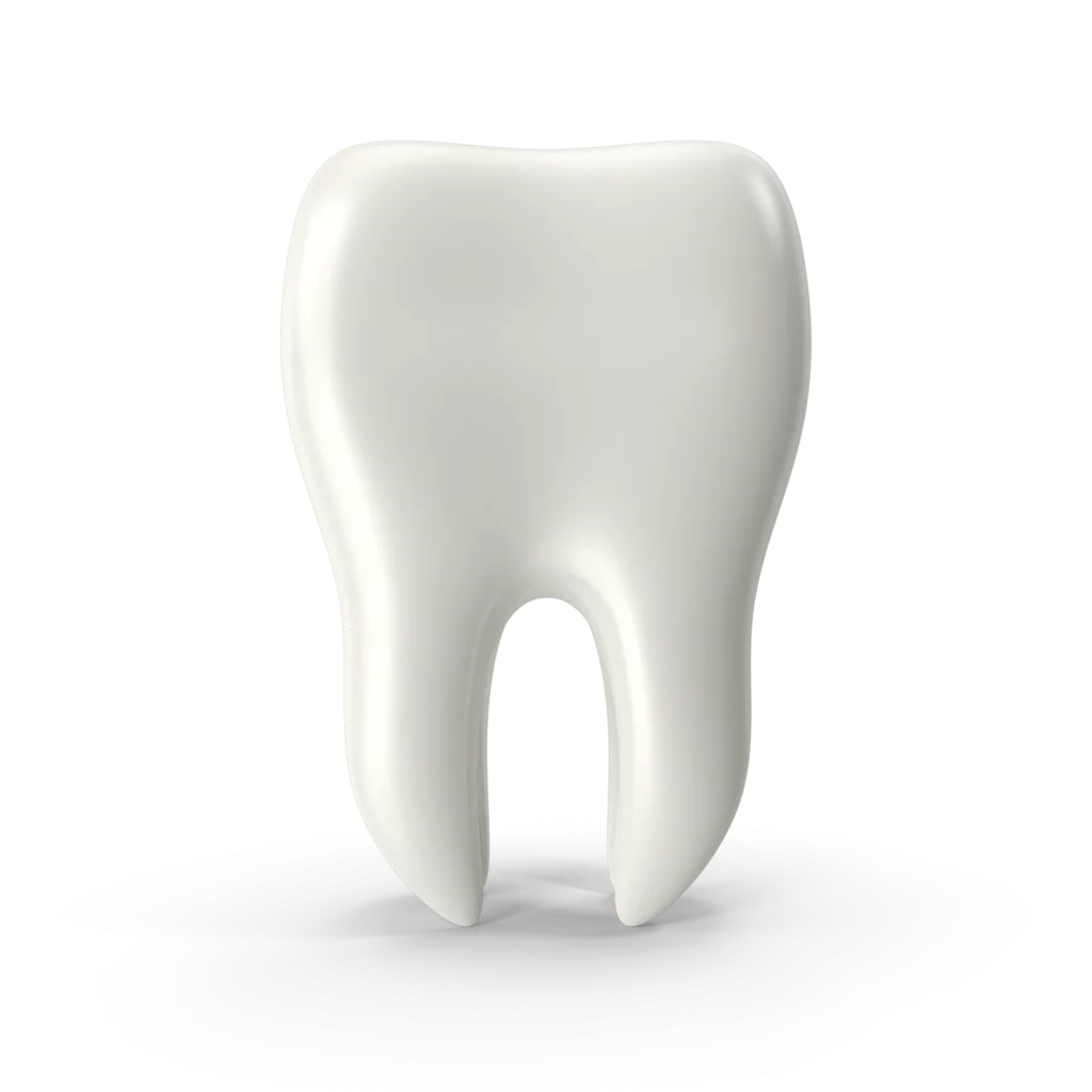 Pristine 3D Dental Anatomy Tooth Clipart: Realistic Medical Illustration Design