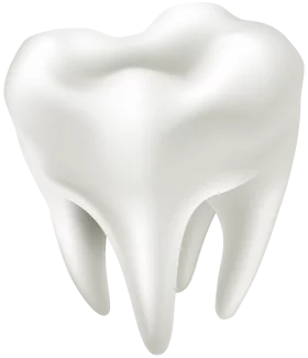 Realistic 3D Medical Dental Clipart Illustration of Healthy Molar Tooth