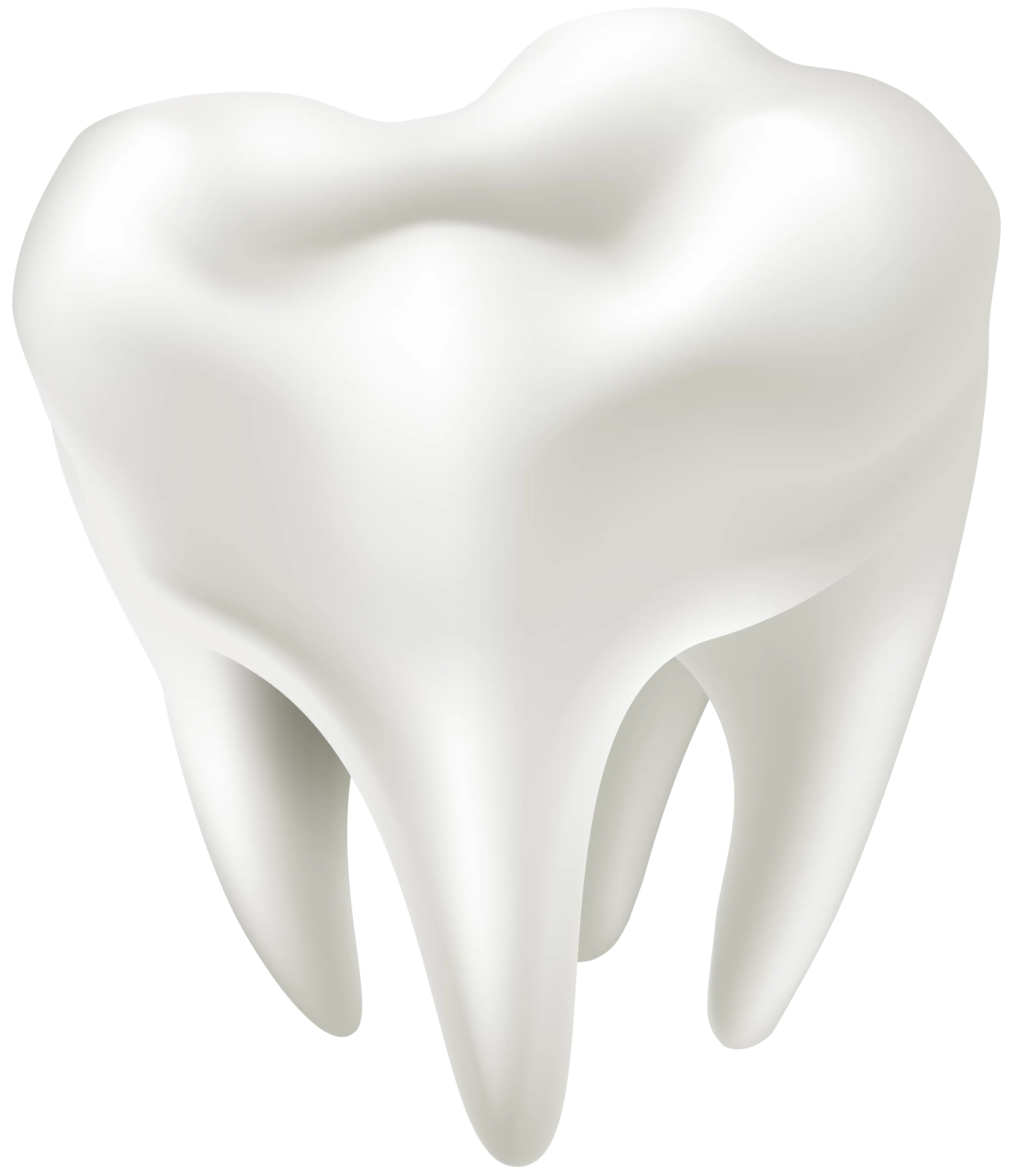 Realistic 3D Medical Dental Clipart Illustration of Healthy Molar Tooth