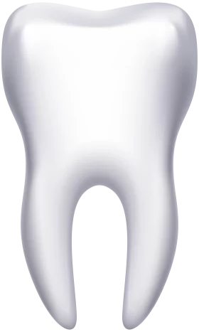 Realistic Clean White Dental Tooth Clipart Illustration Medical Graphic