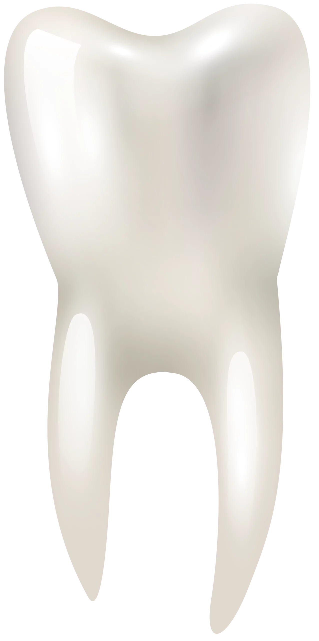 Realistic Molar Tooth Clipart: Detailed Dental Illustration in Pristine White