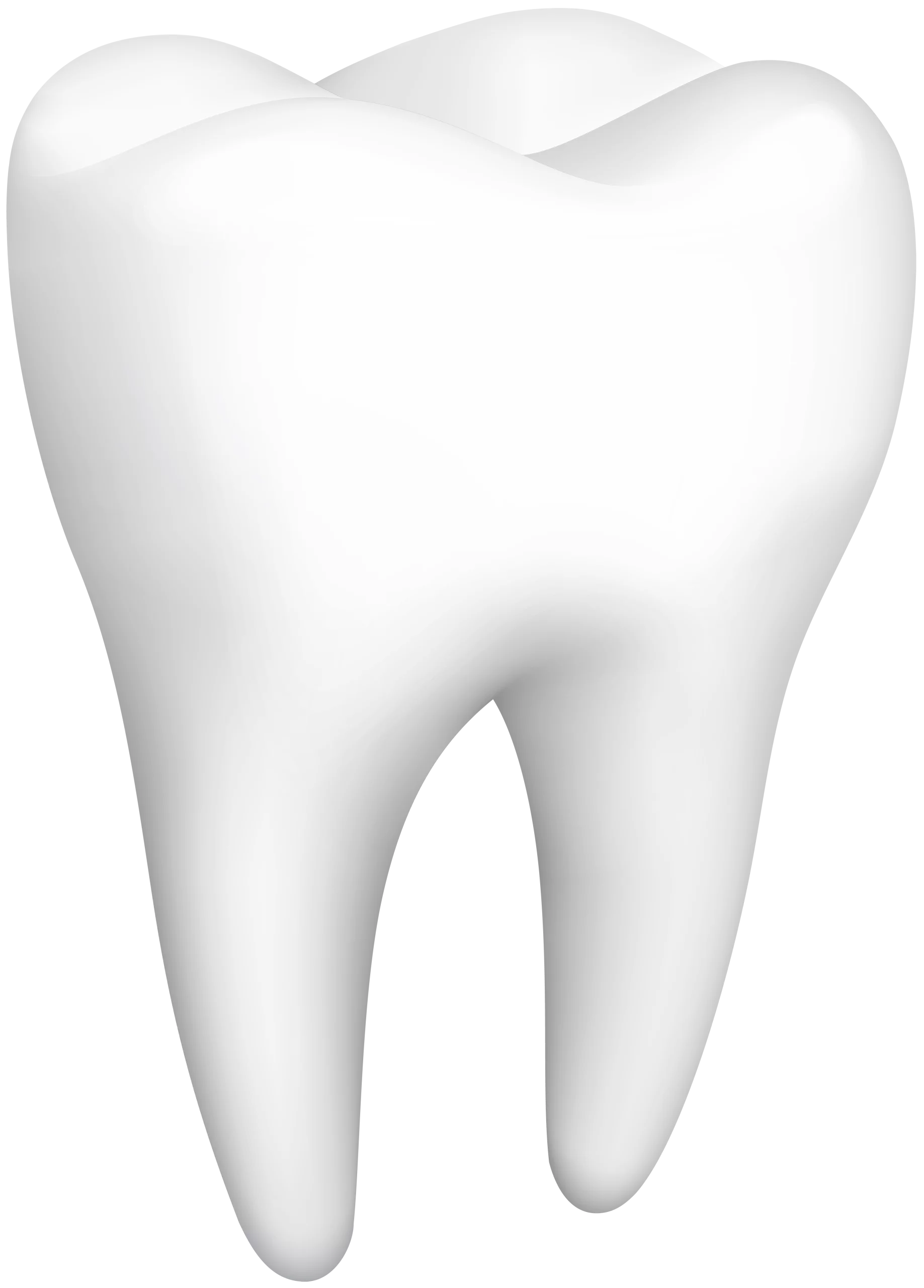 Realistic Three-Dimensional Dental Tooth Clipart Illustration in Pure White