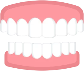 Soft Pink and White Dental Teeth Arrangement Cartoon Clipart Illustration