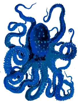 Deep Sea Blue Octopus Clipart: Mesmerizing Marine Creature Illustration