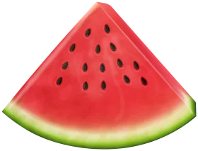 Fresh Slice of Juicy Watermelon Clipart - Crisp Summer Refreshment Illustration