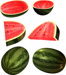 Fresh Watermelon Slices and Whole Fruits Detailed Artistic Clipart Collection