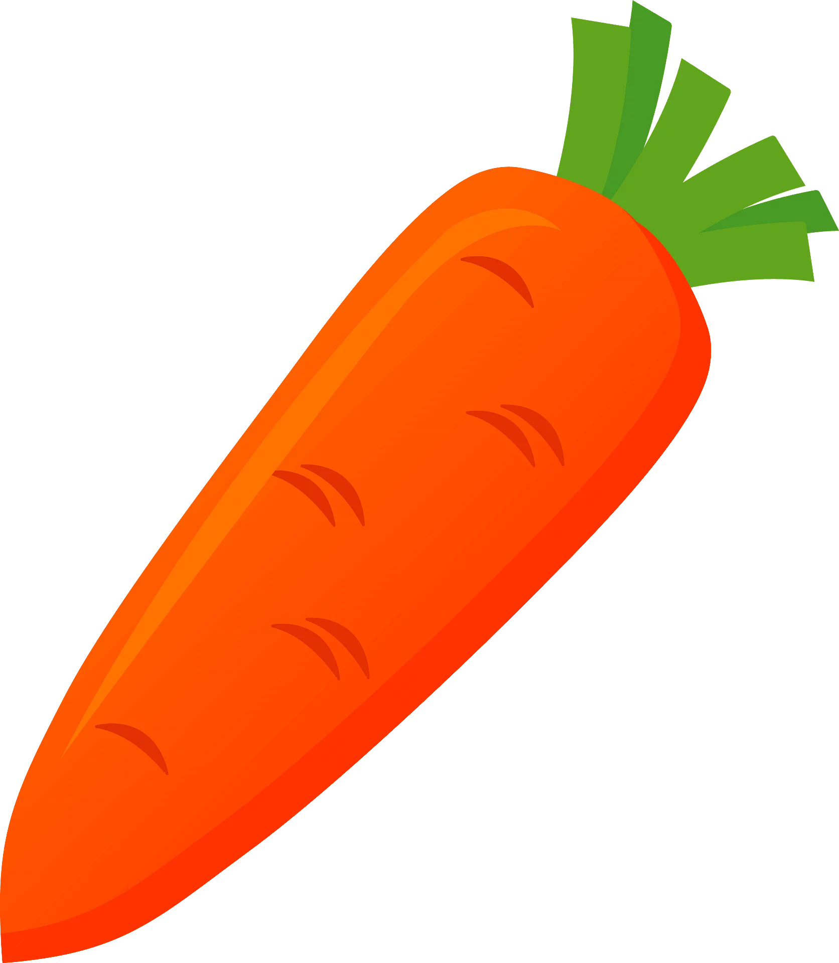 Fresh Orange Carrot Clipart Illustration with Crisp Green Leafy Top