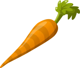 Fresh Organic Carrot Clipart - Crisp Orange Vegetable Illustration with Green Leafy Top
