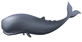 Serene Gray Sperm Whale Clipart Illustration with Smooth Maritime Silhouette