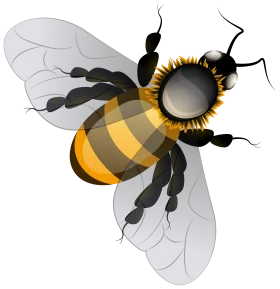 Detailed Honey Bee Clipart Illustration with Translucent Wings and Bold Stripes