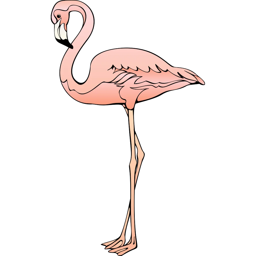 Elegant Pink Flamingo Clipart Illustration with Graceful Curved Neck