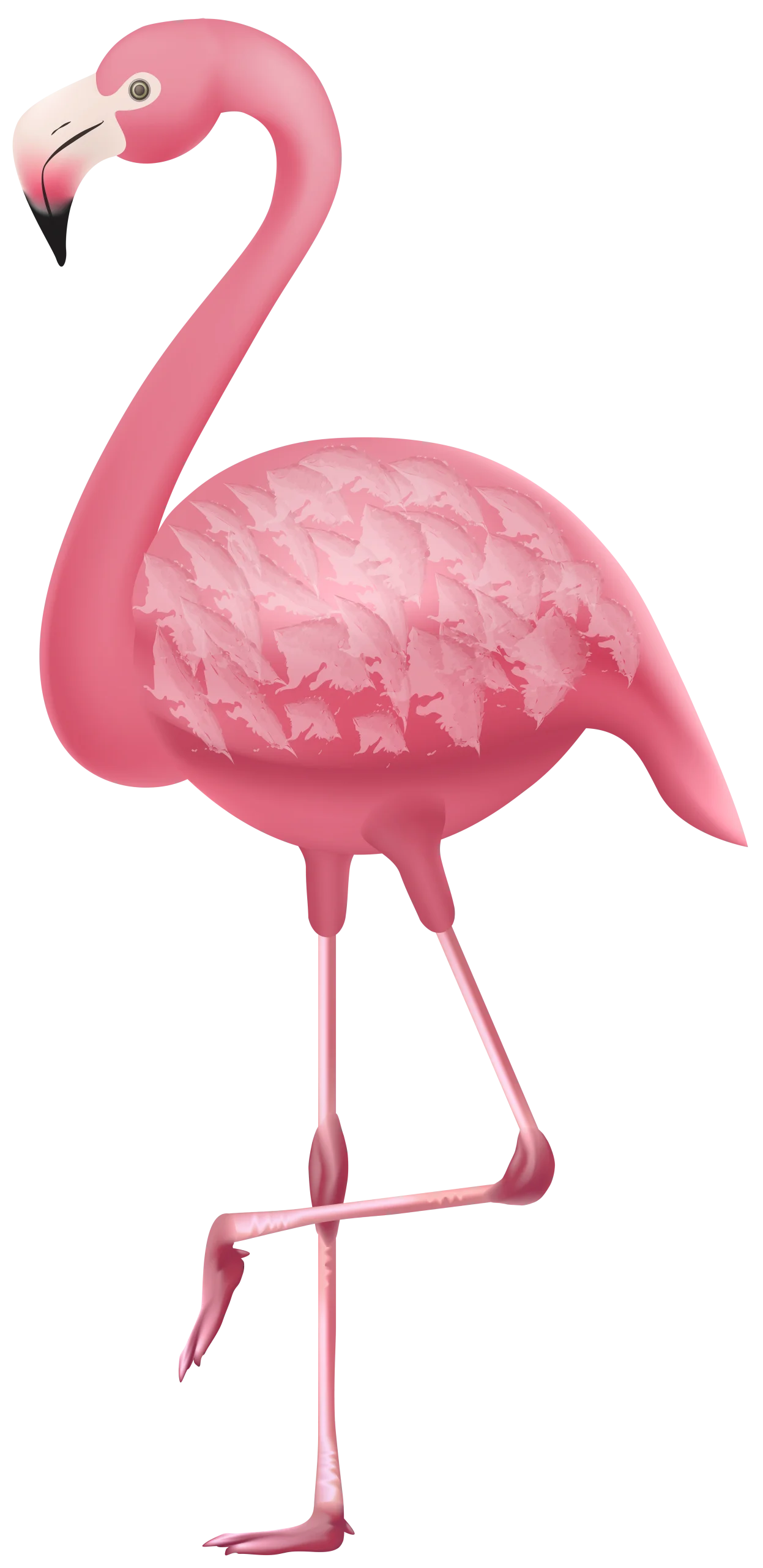 Elegant Pink Flamingo Clipart with Graceful Curved Neck and Textured Plumage