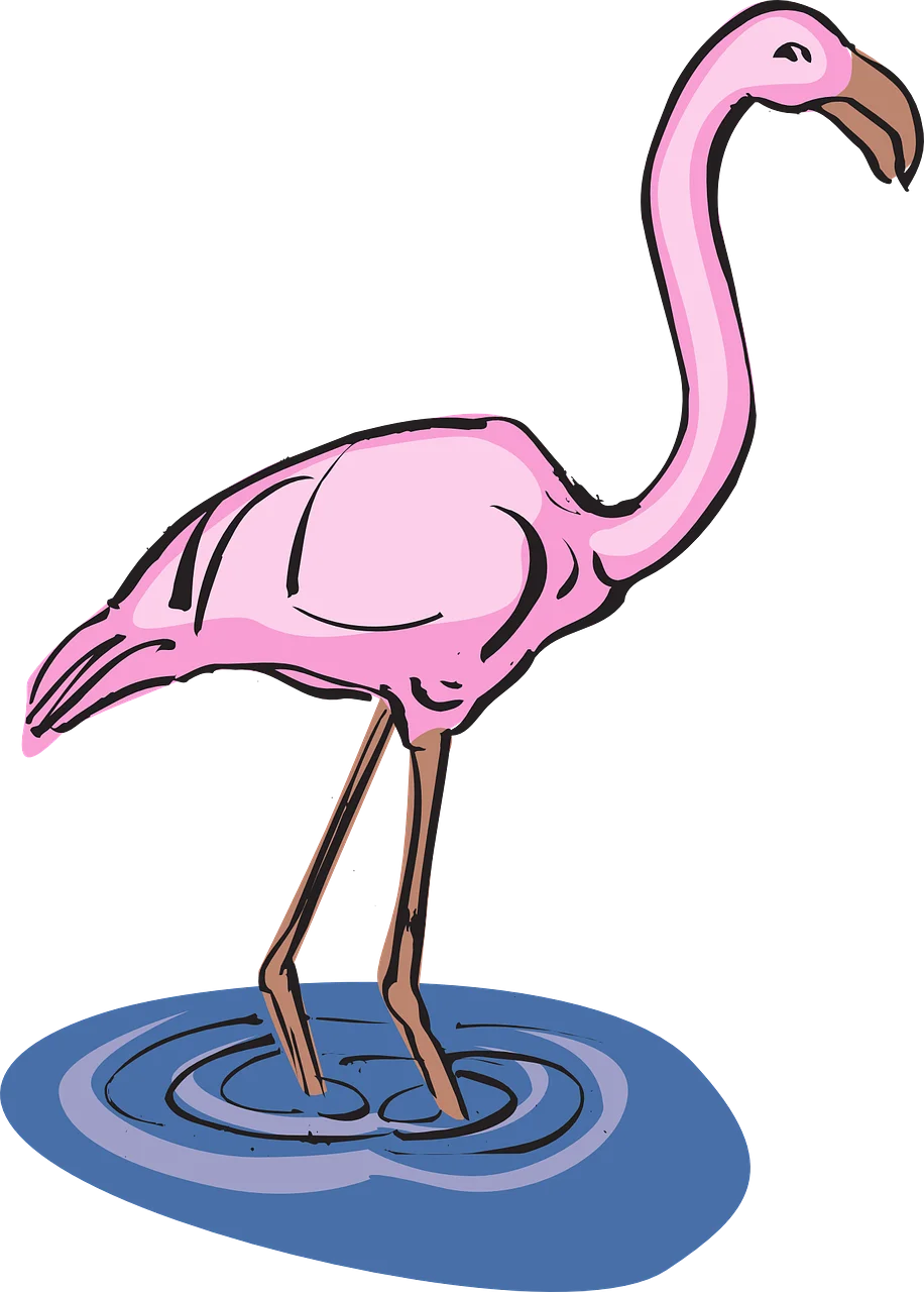 Elegant Pink Flamingo Standing on Water Stylized Cartoon Clipart Illustration