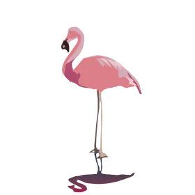 Stylized Pink Flamingo Clipart: Elegant Minimalist Graphic Design Illustration