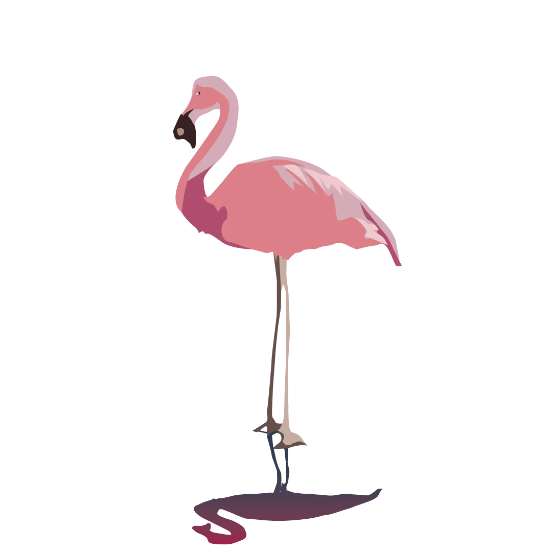 Stylized Pink Flamingo Clipart: Elegant Minimalist Graphic Design Illustration